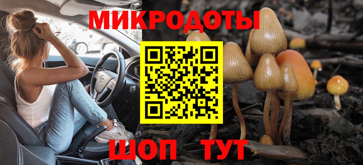 Галлюциногенные грибы MAGIC MUSHROOMS Подольск