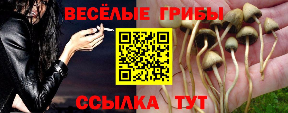 Псилоцибиновые грибы мицелий  Вход с VPN  Подольск 